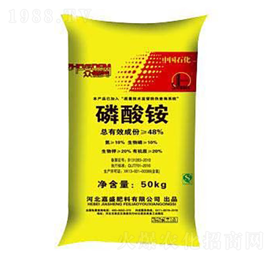 �����@-��ʢ����