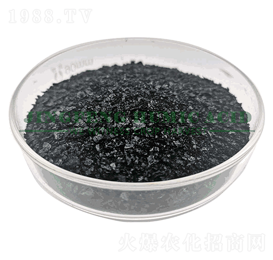 14%-16%���徫Ƭ-���S��ֲ��