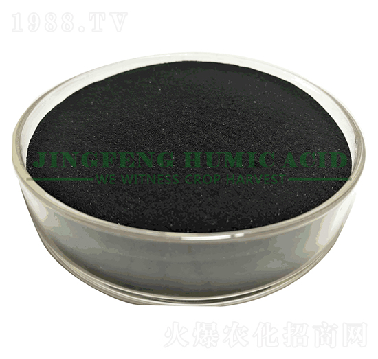 20%���徫��-���S��ֲ��