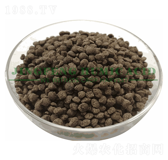 �����S������w��-���S��ֲ��