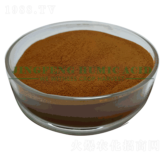 �����S����⛷�ĩ-���S��ֲ��