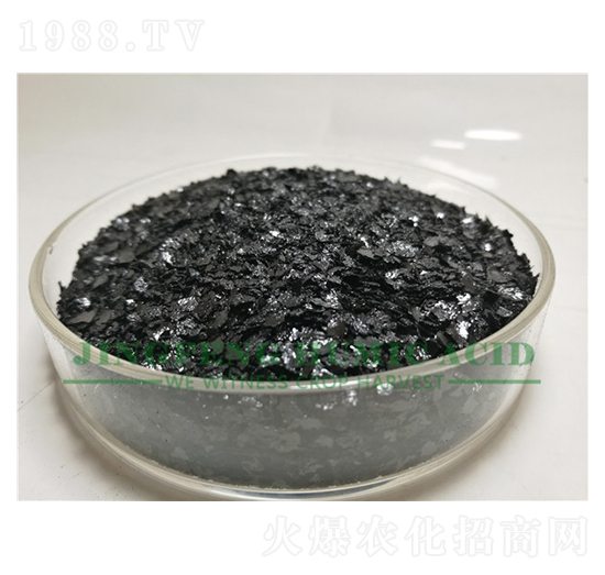 �S��ֲ��Ƭ-���S��ֲ��