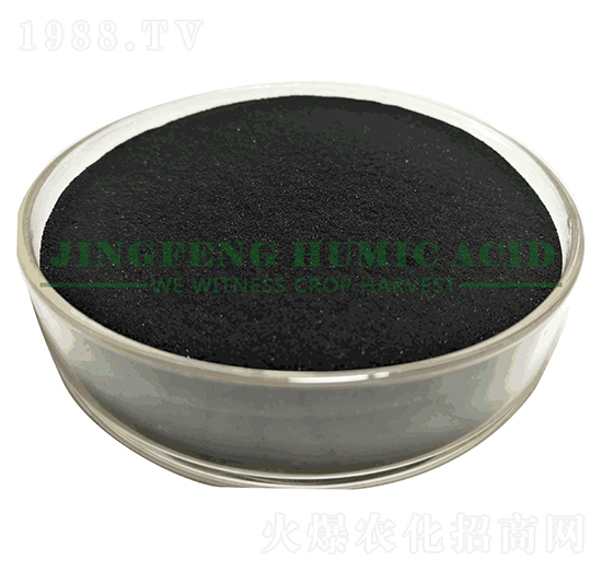 ��ֲ����ĩ-���S��ֲ��