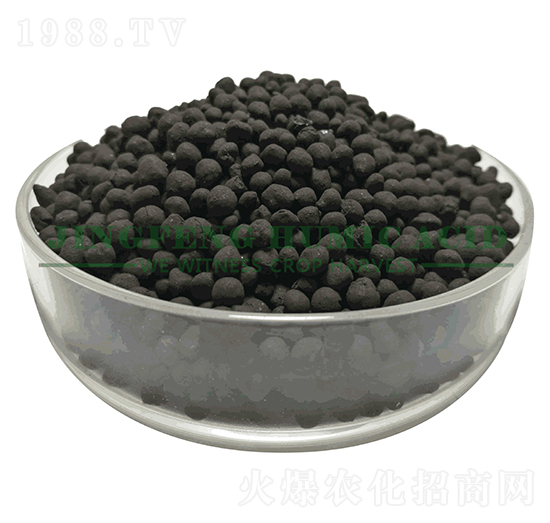 ������ֲ���w��-���S��ֲ��