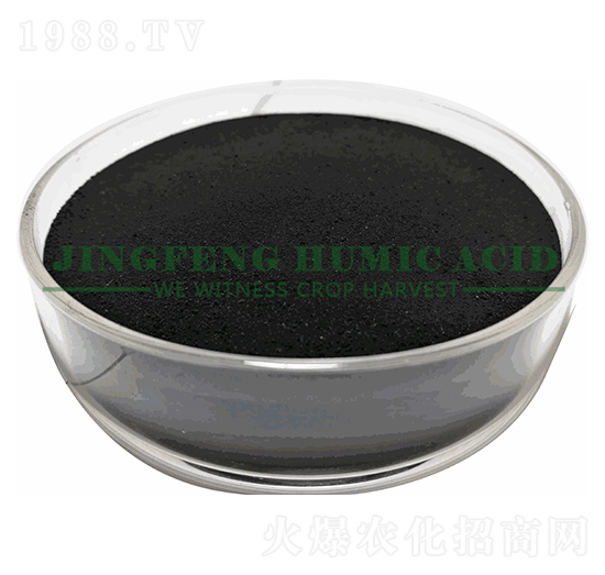 ��ֳ���@��ĩ-���S��ֲ��