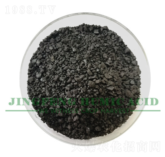 ��ֲ�᲻Ҏ(gu��)�t�w��-���S��ֲ��