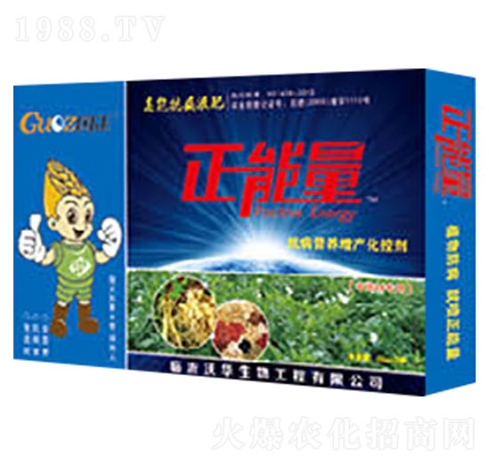 ��ˎ�Ŀ����I�B(y��ng)���a���؄�-������