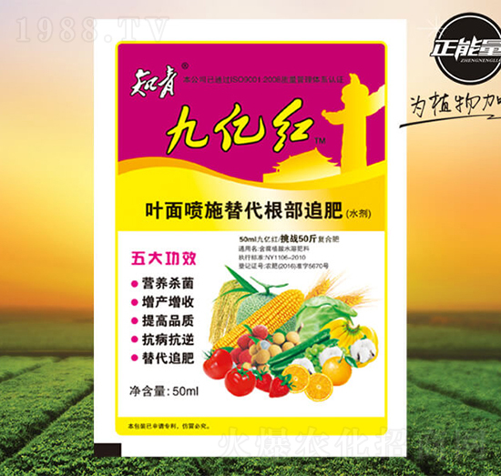 �Ń|�t�~�懊ʩ�������׷��-֪��-������