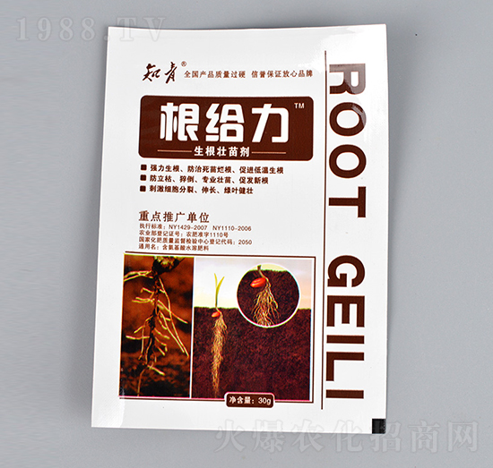 �������焩-���o��-������