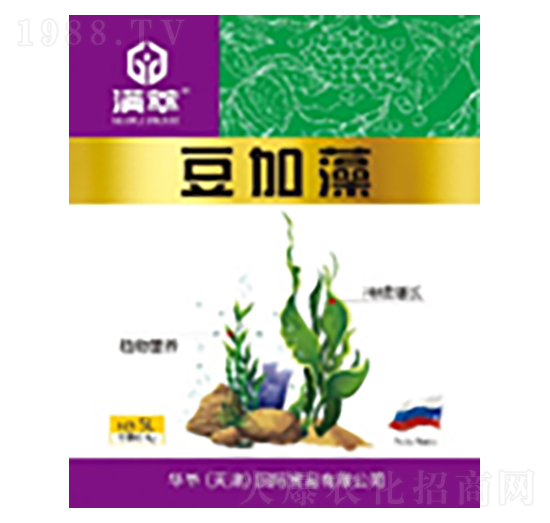 �M�Ͷ�����-����