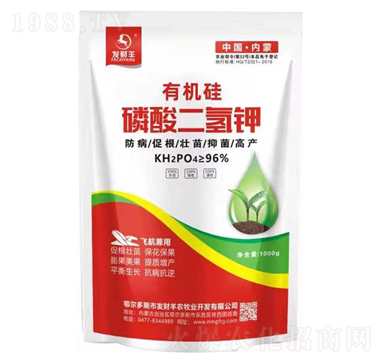 �ЙC(j��)����������-�l(f��)ؔ��