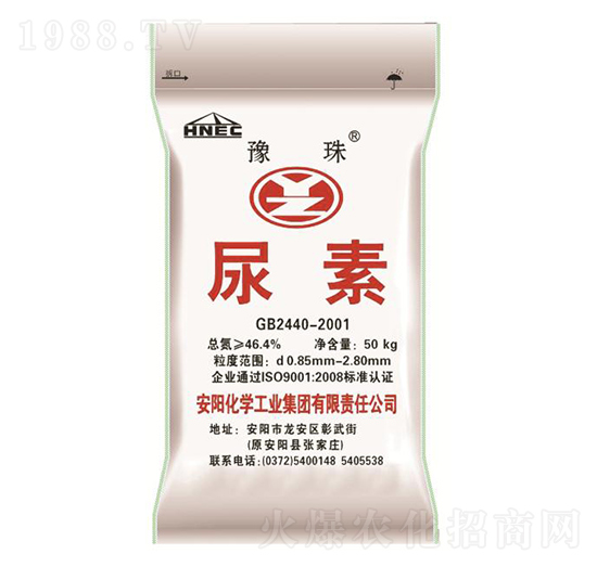 ����-ԥ��ʘI(y��)