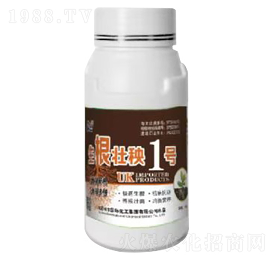 ��������1̖(h��o)-Ӣ��(gu��)����-�տ���