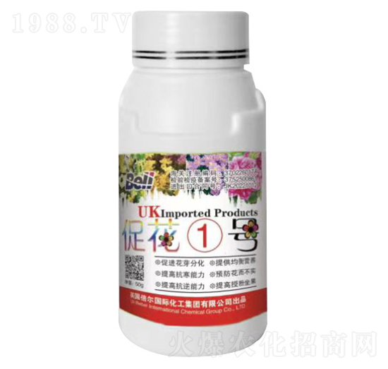 �ٻ�1̖-Ӣ������-�տ���