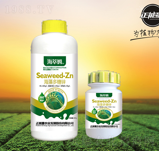 ��������\-����ķ-������