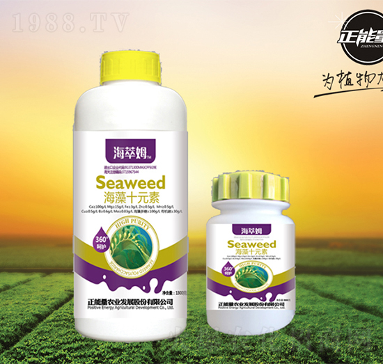 ����ʮԪ��-����ķ-������