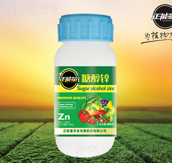 �Ǵ��\-������