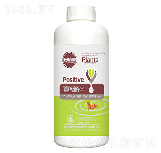 1300g�����\-������