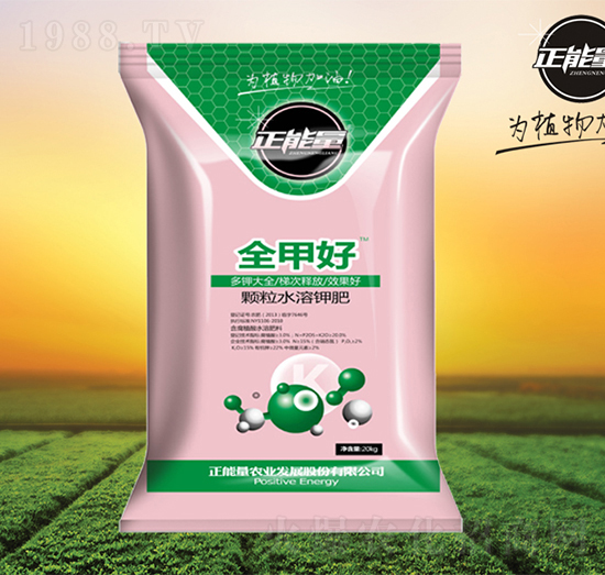 �w��ˮ��⛷�-ȫ⛺�-������