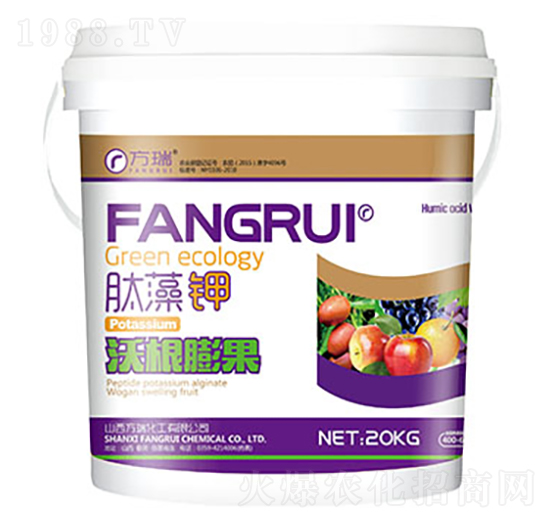 �ָ����-�����-����