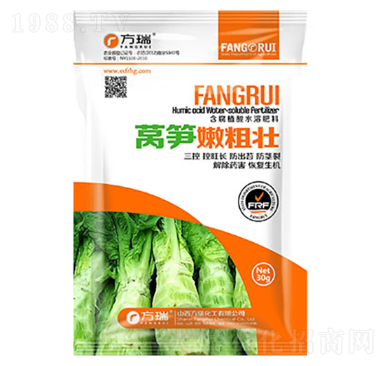 �n�S�։Ѵ�-����