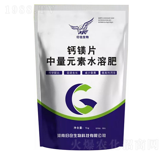 �}�VƬ-�w�}(c��ng)����