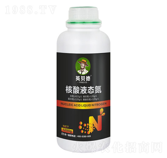 ����Һ�B(t��i)��-Ӣؐ��