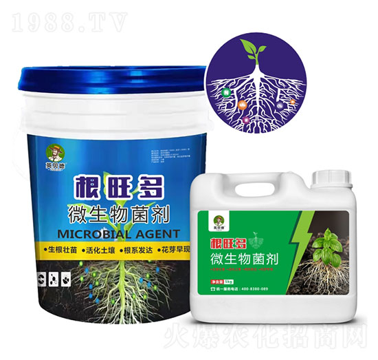 ΢�������-������-Ӣؐ��