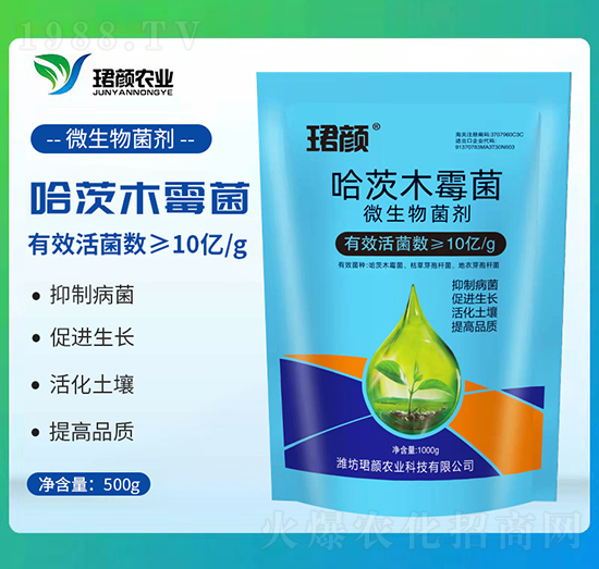 ����ľù��-�B��r(n��ng)�I(y��)