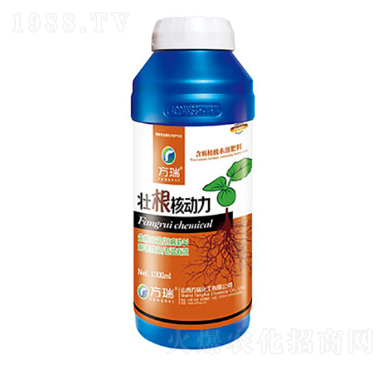 �Ѹ��˄���-����