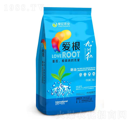 �۸�-���ݼt-�ǃ|�r�I(y��)