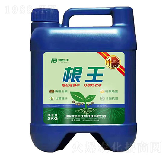 ����-�����S