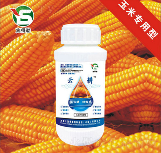 ���׌������~���-ʩ����-�Ƹ��r�I(y��)