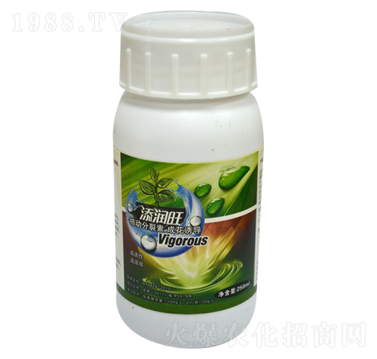 �˄�(d��ng)������-�꾧��