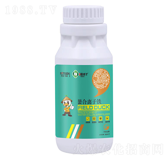 �����x���F-��СѾ-�_(k��i)������