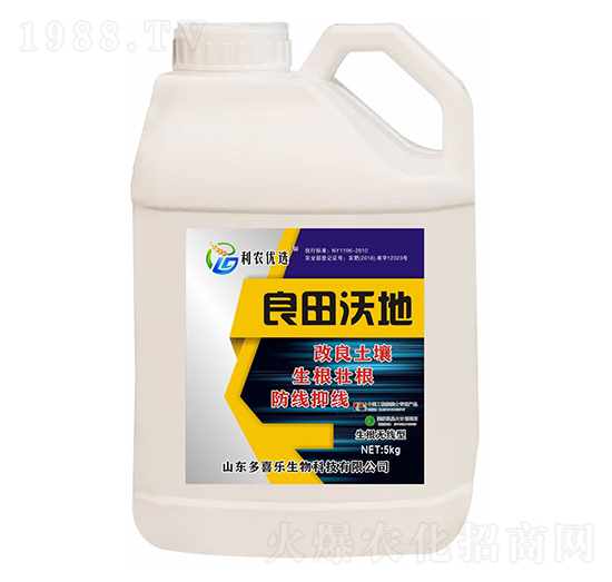 �����o(w��)���������ֵ�-��ϲ������