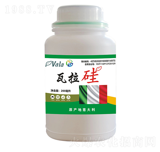 ������-��ϲ������