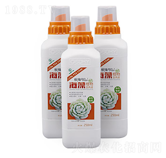 ���⌣���ͺ���ֲ��I(y��ng)�B(y��ng)Һ-����-��������