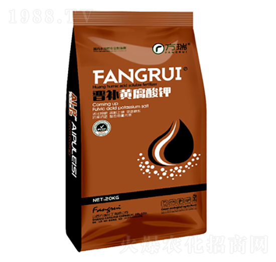 �x�a�S�����-����