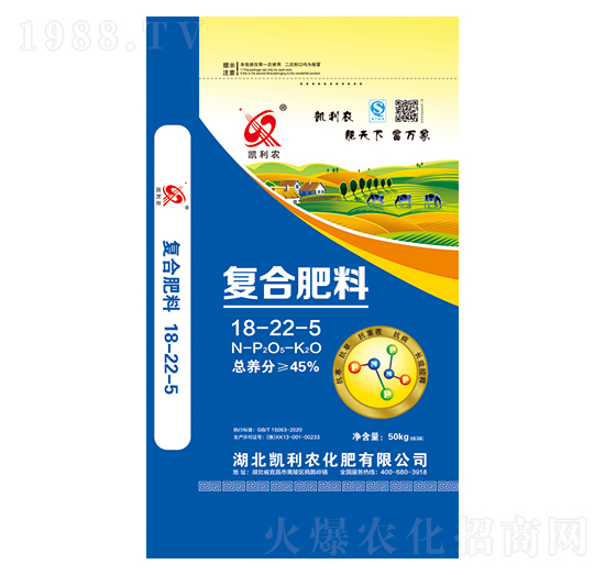 �ͺϷ���12-22-5-�P���r-�κ��S