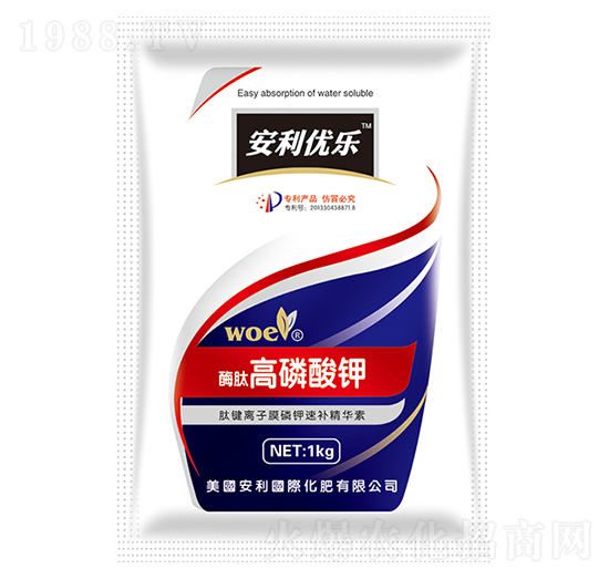 ø�ĸ������-�֠�