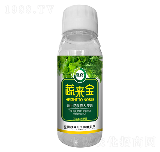 �߁팚-ِ��-�_(t��i)�_(d��)�ʘI(y��)