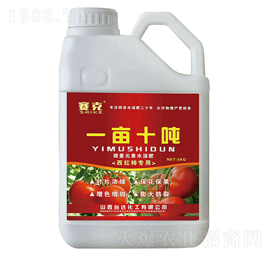 ���t������һ��ʮ��-ِ��-�_�_(d��)�ʘI(y��)