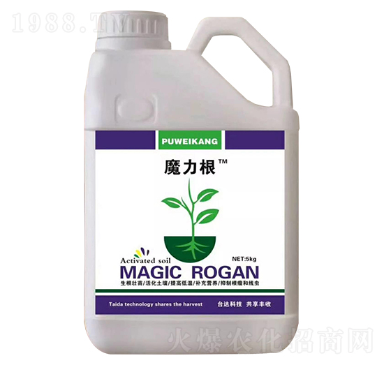 ħ����-ِ��-�_�_�ʘI(y��)