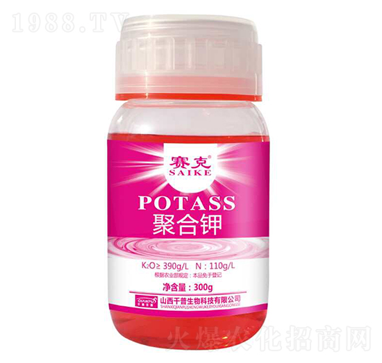 �ۺ��-ِ��-�_�_�ʘI(y��)