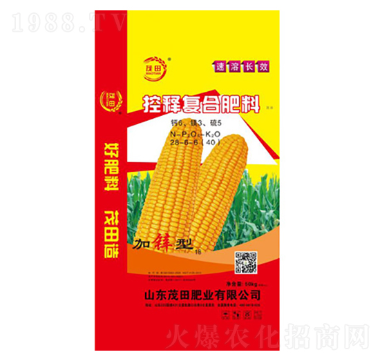 ��ጏ�(f��)�Ϸ���28-6-6-ï��