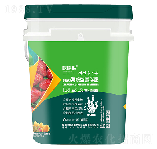 ƽ���ͺ����͑Ҹ���100-100-100+TE+�~����-�W���-ʥ�ɶ�