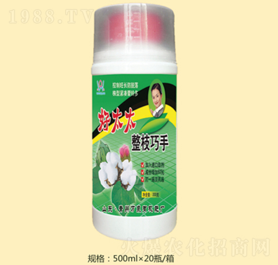 ��̫̫��֦����-�fȪ�r��