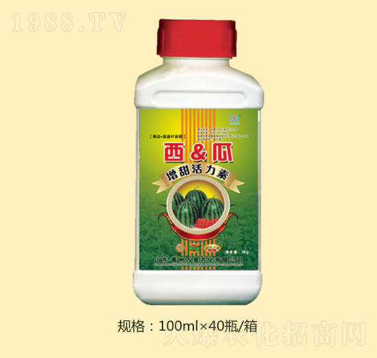 �������������-�fȪ�r(n��ng)��