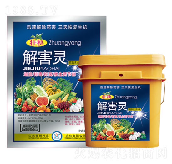 �⺦�`-�fȪ�r(n��ng)��